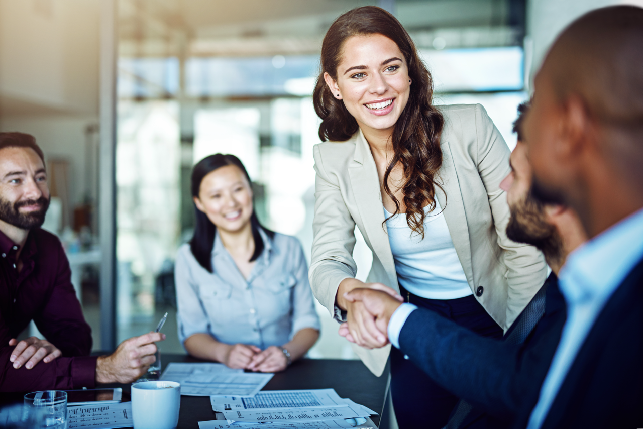 Corporate professionals meeting with a consultant